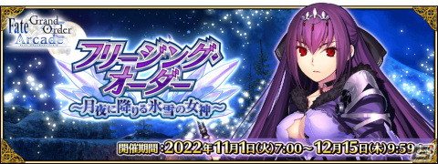 【ちぇる】FGOアーケード スカサハ=スカディ　最終フェイタル5枚セット fgoアーケード fgoac スカサハ=スカディ 最終再臨ノーマル 2023