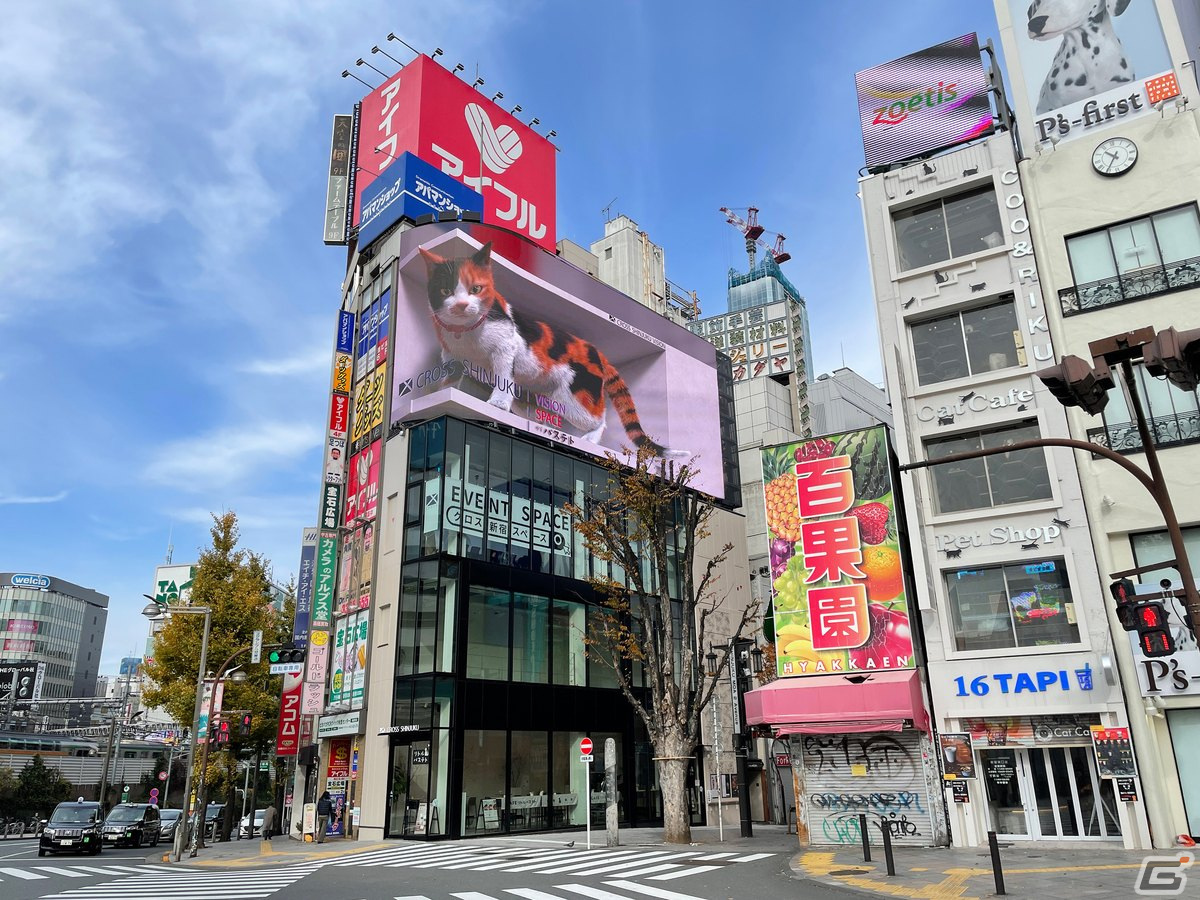 「新宿東口の猫のカフェ」にて「マジック：ザ・ギャザリング『兄弟戦争』ポップアップカフェ」が11月18日より開催！の画像2