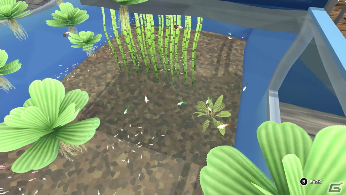 「メガクアリウム」暴れん坊のピラニアなど30種類もの淡水生物が登場する追加DLCが配信中！赤ちゃんの飼育も可能にの画像4