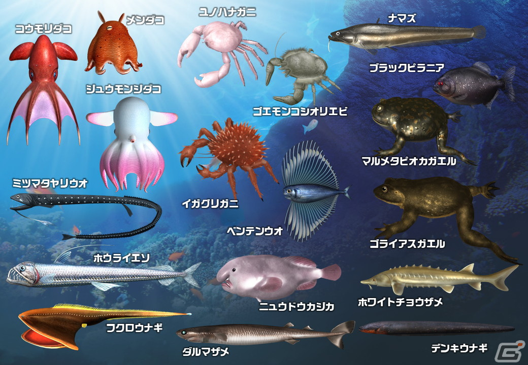 謎多き“深海”を舞台とした「釣りスピリッツ シンカー」が稼働開始！登場深海魚も公開の画像3