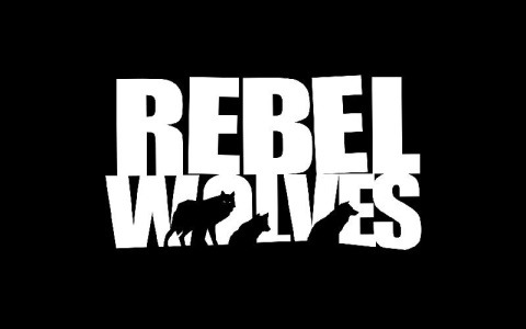 NetEase Games、ポーランドのゲームスタジオRebel Wolvesの一部株式を取得へ―今後もスタジオの独立性は維持