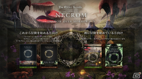 「エルダー・スクロールズ・オンライン」の大型アップデート「ネクロム」が6月6日に配信決定!の画像2