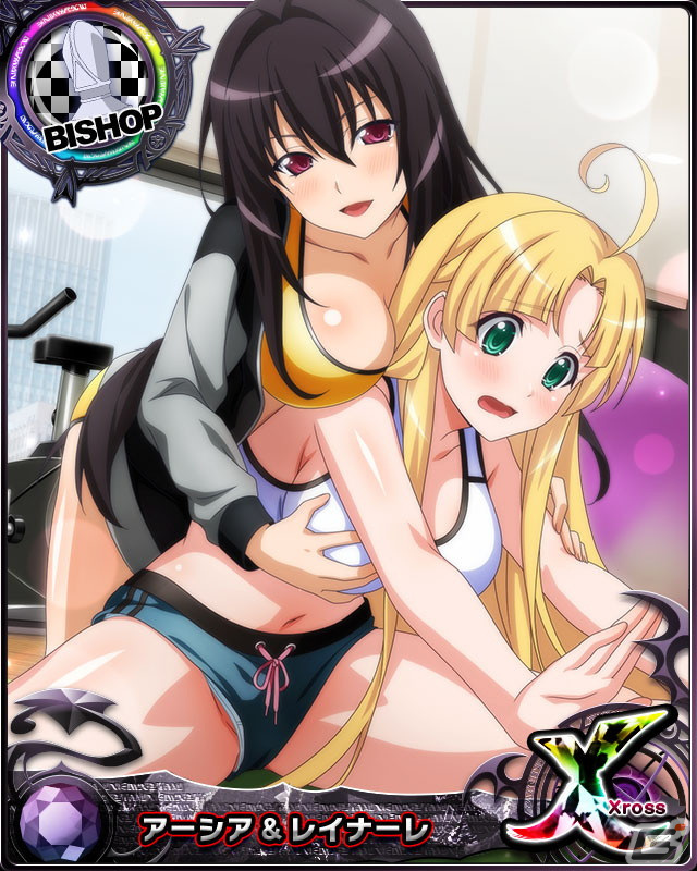 「ハイスクールD×D」限定カードがもらえるハーフアニバーサリーキャンペーンが開催！小悪魔姿のロスヴァイセらが登場するイベントもの画像2