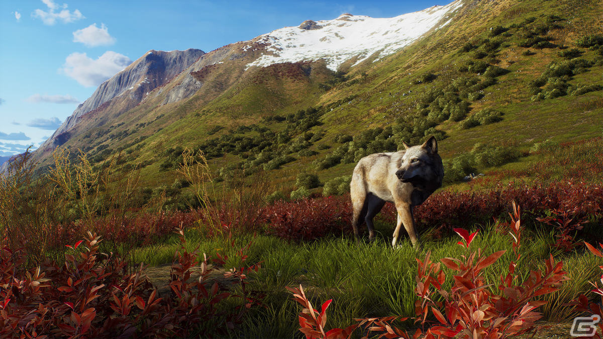 「Way of the Hunter」アラスカを舞台にしたDLC「オーロラ ショアーズ」が配信決定！の画像6