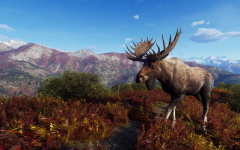 「Way of the Hunter」アラスカを舞台にしたDLC「オーロラ ショアーズ」が配信決定！