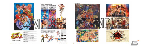 「ストリートファイター」シリーズ35周年記念書籍「ストリートファイター V クライマックスアーツ プラス ZERO to6」が2月22日に発売！の画像4