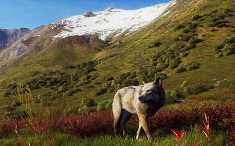 「Way of the Hunter」アラスカにひろがる未開の荒野を舞台にしたDLC「オーロラ ショアーズ」の配信日が2月23日に決定！