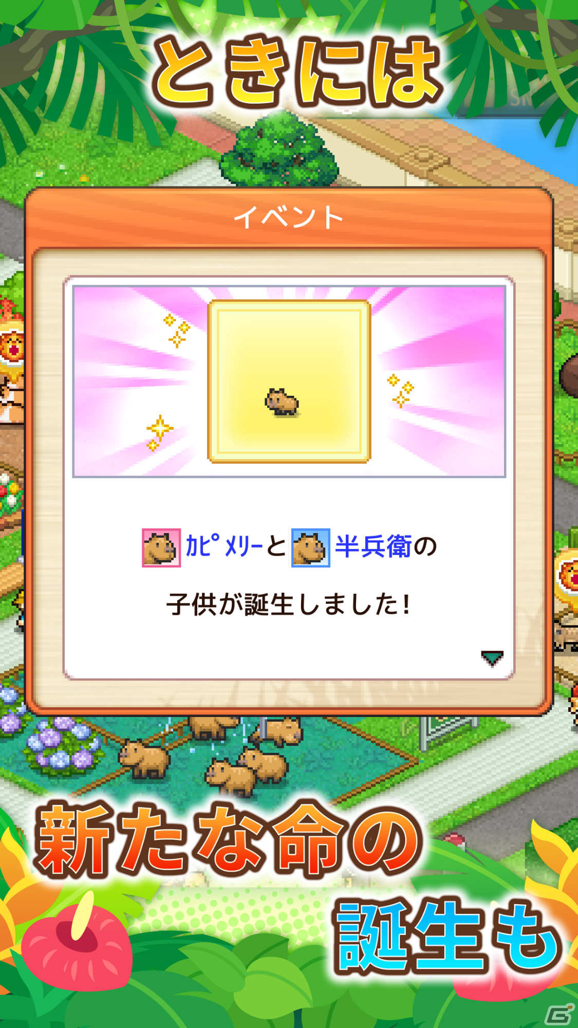 「探検わんぱく動物園」がAndroid向けにリリース！園長として動物園を経営するシミュレーションゲームの画像15