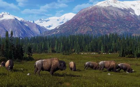 「Way of the Hunter」でDLC「オーロラ ショアーズ」が配信開始！アラスカの荒野で狩りが楽しめる