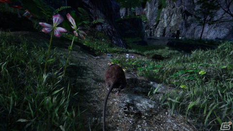 PS5/PS4「AWAY」が5月25日に配信決定！フクロモモンガとなり広大な自然界を冒険するストーリー主導型のアクションADVの画像11