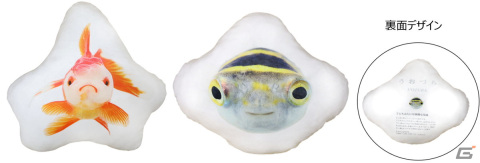 写真集「世界初の魚の顔図鑑 うおづら」が初プライズ化！魚たちの正面顔がキュートなクッションなど限定プライズが3月9日より展開の画像3