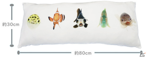 写真集「世界初の魚の顔図鑑 うおづら」が初プライズ化！魚たちの正面顔がキュートなクッションなど限定プライズが3月9日より展開の画像5