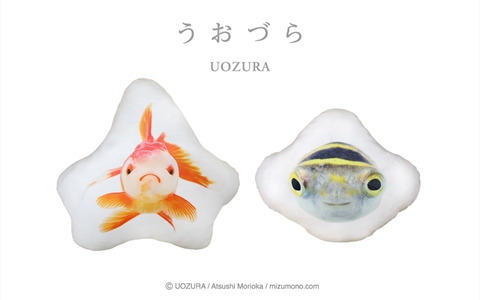 写真集「世界初の魚の顔図鑑 うおづら」が初プライズ化！魚たちの正面顔がキュートなクッションなど限定プライズが3月9日より展開
