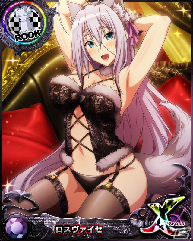 「ハイスクールD×D」でレイドイベント「アニマル美人をお世話します！？」が開催の画像6