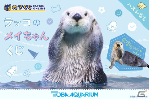 鳥羽水族館のアイドル「ラッコのメイちゃん」の誕生日を記念したカプくじオンラインが登場！ハズレなしで可愛い写真を使用した景品をゲットの画像1