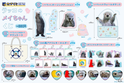 鳥羽水族館のアイドル「ラッコのメイちゃん」の誕生日を記念したカプくじオンラインが登場！ハズレなしで可愛い写真を使用した景品をゲットの画像2