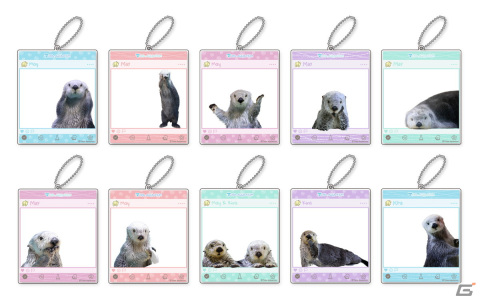 鳥羽水族館のアイドル「ラッコのメイちゃん」の誕生日を記念したカプくじオンラインが登場！ハズレなしで可愛い写真を使用した景品をゲットの画像6