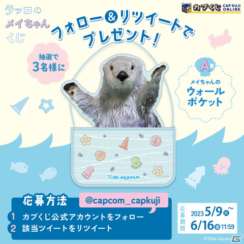鳥羽水族館のアイドル「ラッコのメイちゃん」の誕生日を記念したカプ