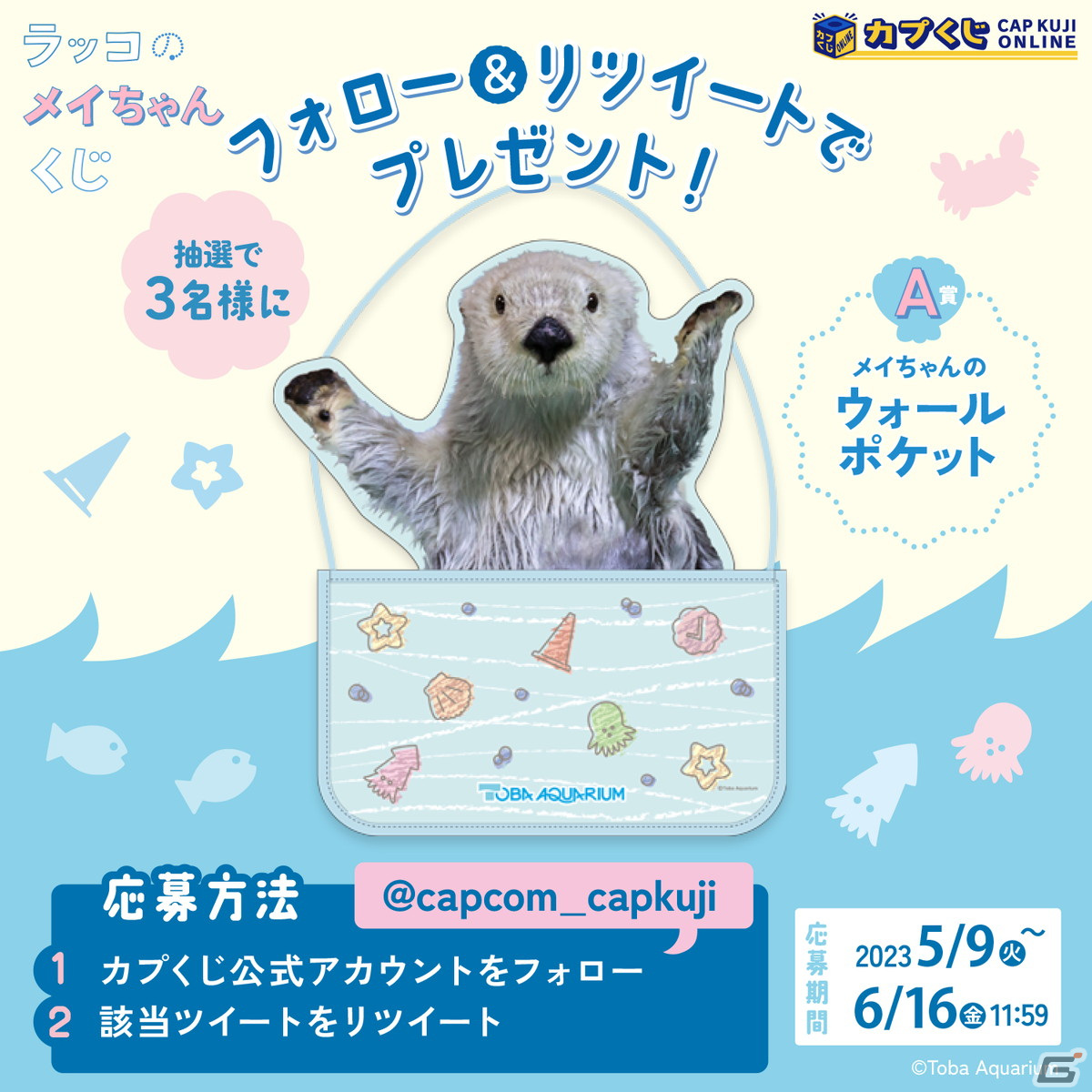 鳥羽水族館のアイドル「ラッコのメイちゃん」の誕生日を記念した
