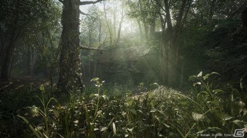 「METAL GEAR SOLID Δ: SNAKE EATER」がPS5/Xbox SX|S/Steam向けに制作決定！シリーズ3作品を中心に収録したコレクションも登場の画像5