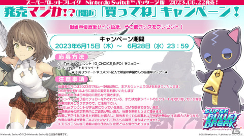 Switchパッケージ版「スーパーバレットブレイク」恋汐りんごさん、夜道雪さんの直筆サイン色紙などが当たるキャンペーンが実施！の画像2