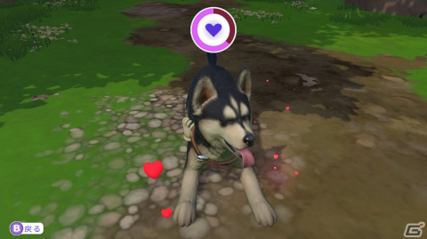 「LITTLE FRIENDS ～PUPPY ISLAND～」で可愛い子犬と島生活！忙しい大人にこそプレイしてほしいチルなゲームだったの画像11
