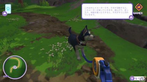 「LITTLE FRIENDS ～PUPPY ISLAND～」で可愛い子犬と島生活！忙しい大人にこそプレイしてほしいチルなゲームだったの画像12