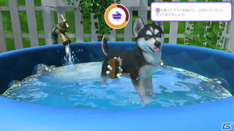 「LITTLE FRIENDS ～PUPPY ISLAND～」で可愛い子犬と島生活！忙しい大人にこそプレイしてほしいチルなゲームだったの画像13