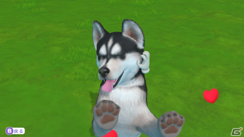 「LITTLE FRIENDS ～PUPPY ISLAND～」で可愛い子犬と島生活！忙しい大人にこそプレイしてほしいチルなゲームだったの画像3