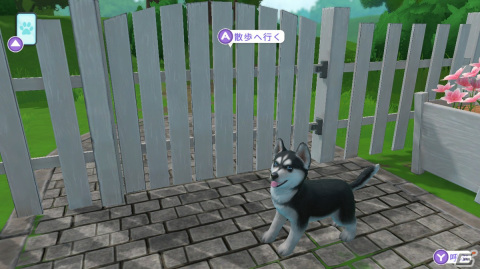 「LITTLE FRIENDS ～PUPPY ISLAND～」で可愛い子犬と島生活！忙しい大人にこそプレイしてほしいチルなゲームだったの画像5