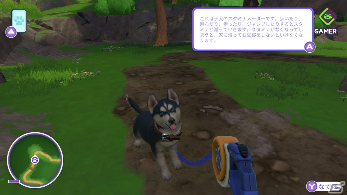 「LITTLE FRIENDS ～PUPPY ISLAND～」で可愛い子犬と島生活！忙しい大人にこそプレイしてほしいチルなゲームだったの画像14