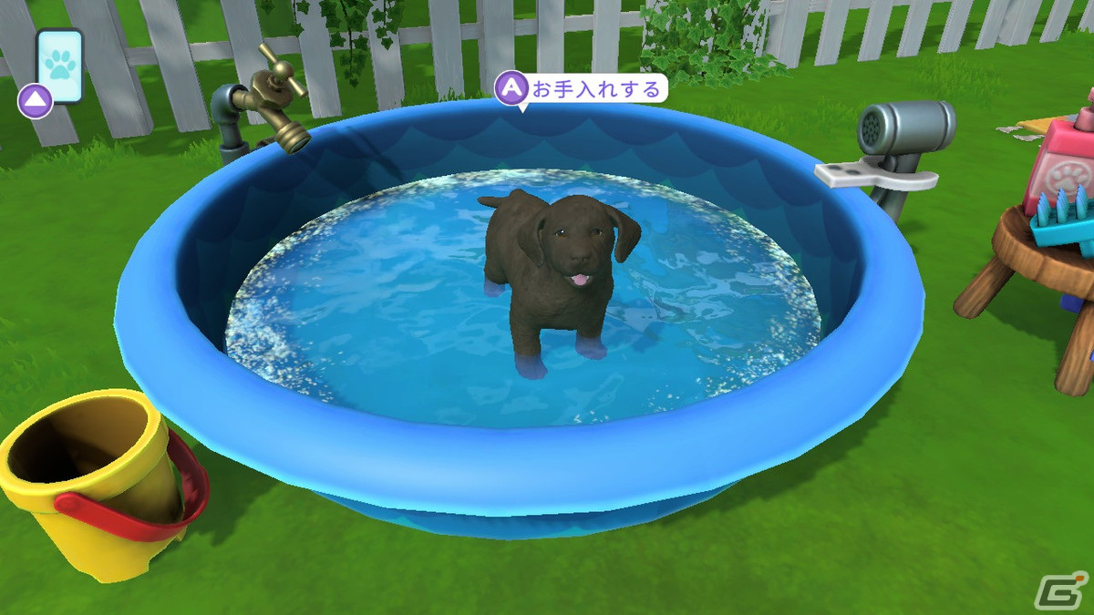 「LITTLE FRIENDS ～PUPPY ISLAND～」で可愛い子犬と島生活！忙しい大人にこそプレイしてほしいチルなゲームだったの画像23