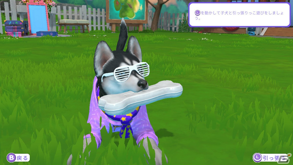 「LITTLE FRIENDS ～PUPPY ISLAND～」で可愛い子犬と島生活！忙しい大人にこそプレイしてほしいチルなゲームだったの画像27