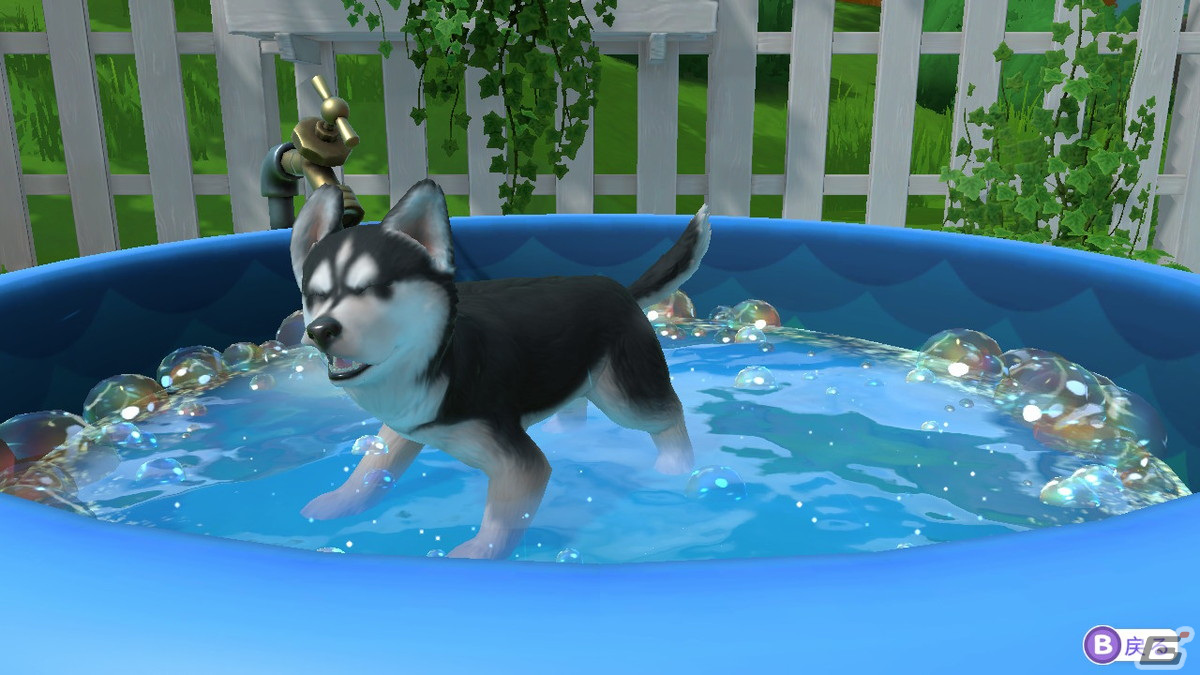 「LITTLE FRIENDS ～PUPPY ISLAND～」で可愛い子犬と島生活！忙しい大人にこそプレイしてほしいチルなゲームだったの画像28