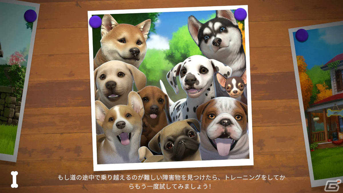 「LITTLE FRIENDS ～PUPPY ISLAND～」で可愛い子犬と島生活！忙しい大人にこそプレイしてほしいチルなゲームだったの画像33