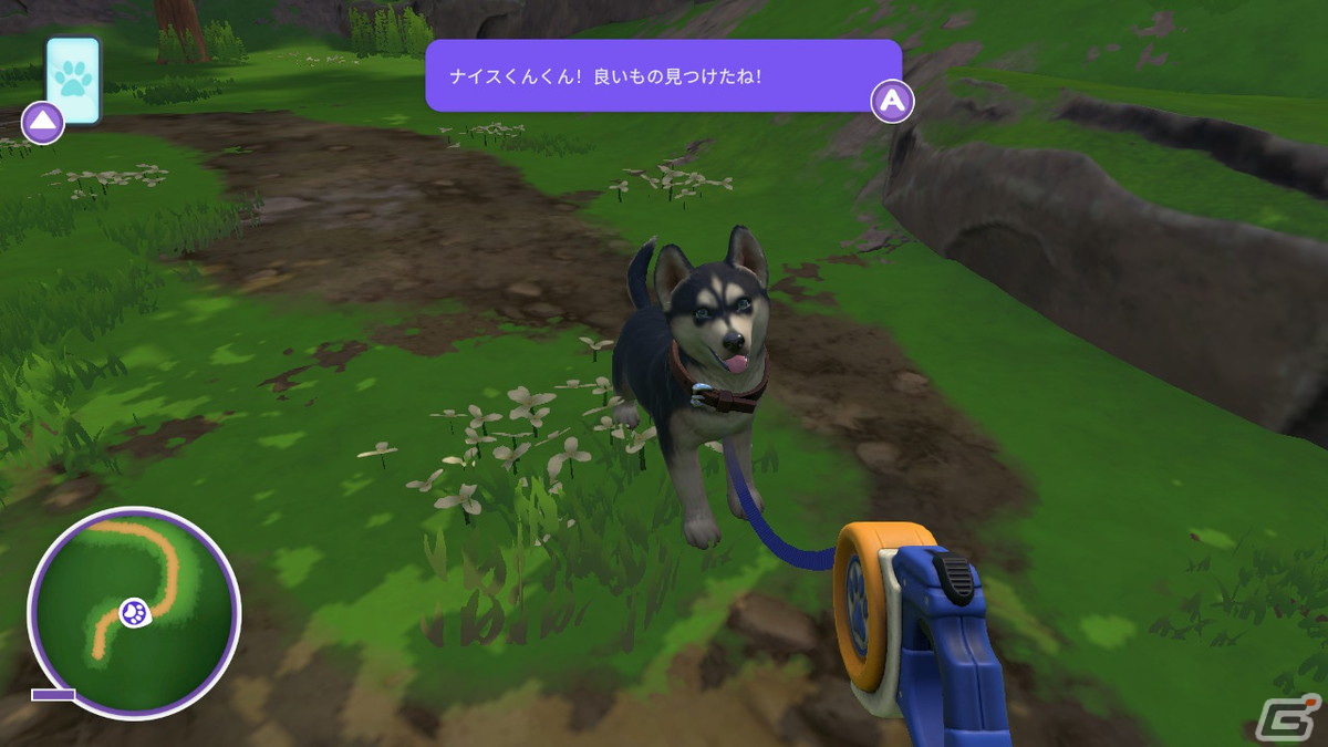 「LITTLE FRIENDS ～PUPPY ISLAND～」で可愛い子犬と島生活！忙しい大人にこそプレイしてほしいチルなゲームだったの画像9