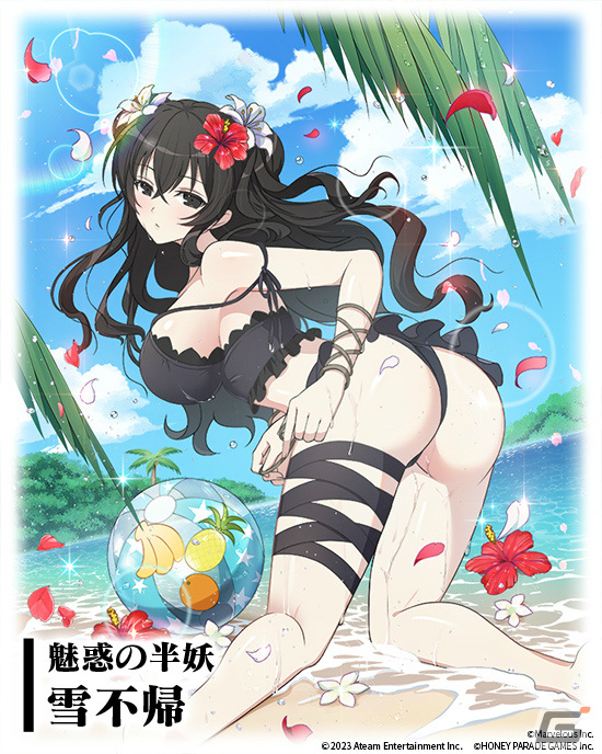 「三国大戦スマッシュ！」水着姿のシノビたちが登場！「閃乱カグラ」シリーズとのコラボが7月14日より実施の画像4