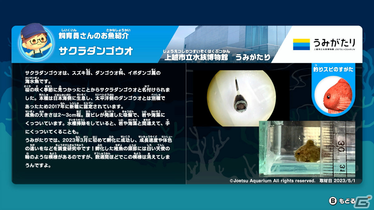 「釣りスピリッツ 釣って遊べる水族館」11のリアル水族館とコラボした魚が登場！夏の無料アップデートが配信の画像3