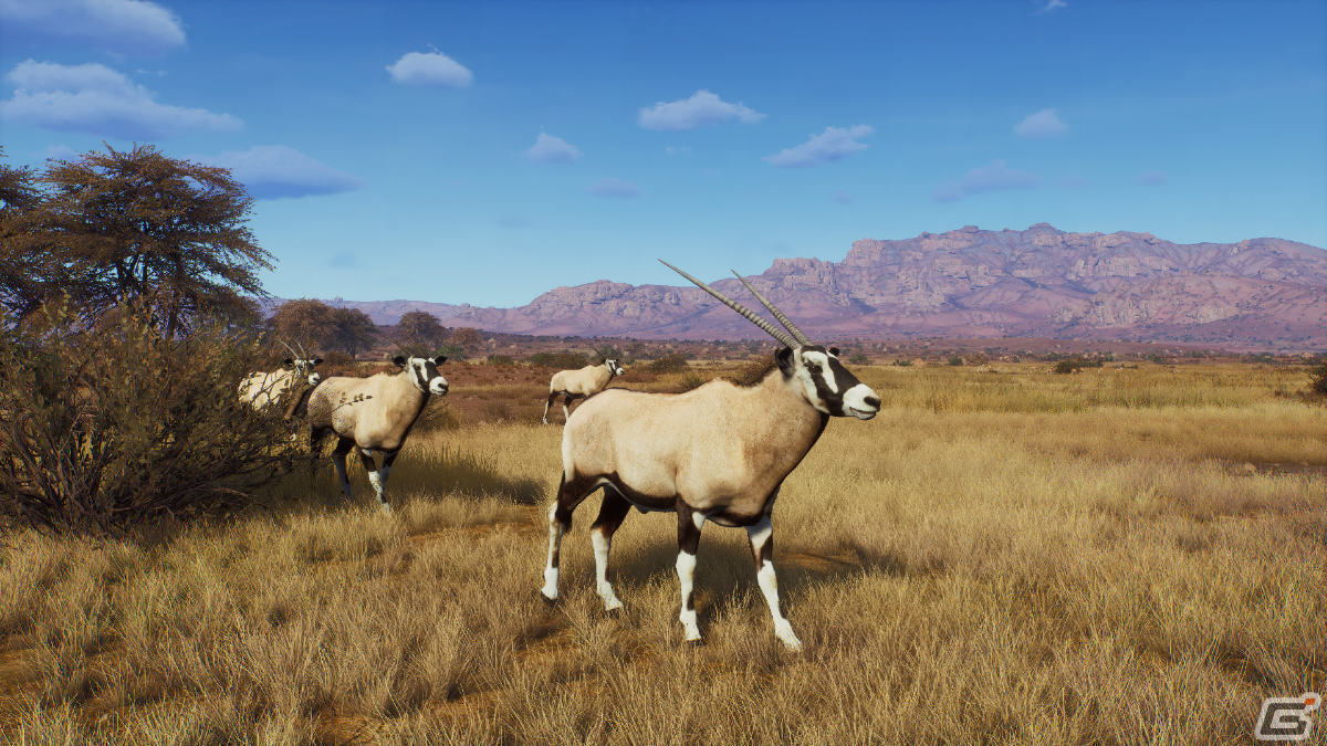 「Way of the Hunter」DLC「ティカムーン平原」の発売日が8月11日に決定！動物紹介トレーラーも公開の画像8
