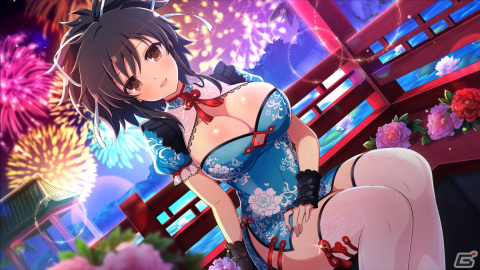 「シノビマスター 閃乱カグラ NEW LINK」強力な飛鳥と斑鳩の「盛・伝説双乳祭」限定カードが登場！「81（パイ）の日記念キャンペーン」が開催の画像6