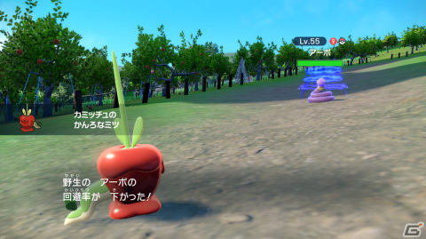 「ポケットモンスター スカーレット・バイオレット ゼロの秘宝」の前編・碧の仮面が9月13日に配信!ブルベリーグ四天王の情報もの画像13