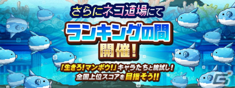 「にゃんこ大戦争」が「生きろ！マンボウ！」とコラボ！マンボ王や厨房マンボウ、コラボステージ「ハマンボ崎あゆみ 強襲！」が登場の画像4