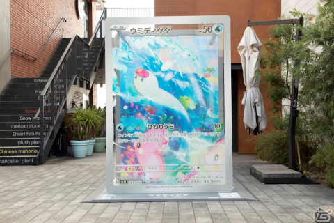 ポケモンカードアートの展覧会「Pokémon Card Art Walk in Yokohama Minatomirai」に花で作られた巨大なリザードンのカードが登場！の画像12