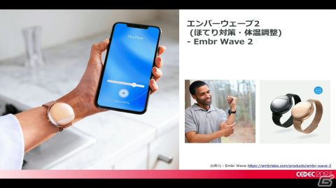 月経随伴症状などの女性の健康トラブルを理解すれば、ゲーム業界の未来はもっと明るい！男性にも知ってほしい“フェムテック”【CEDEC2023】の画像11