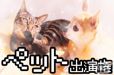 次の野田ゲーは自分でつくる！？Switch「スーパー野田ゲーMAKER」が始動―クラウドファンディングも実施の画像6