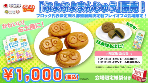 「全国都道府県対抗eスポーツ選手権 2023 KAGOSHIMA ぷよぷよ部門」北海道ブロックの代表選手がルート選手、BCD選手に決定！の画像7
