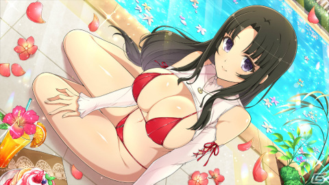 「シノビマスター 閃乱カグラ NEW LINK」アレインがプレイアブルキャラとして参戦！「クイーンズブレイド」コラボ第4弾が実施の画像9