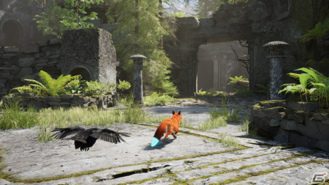 アカギツネとなり広大なオープンワールドを旅する「きたのたましい 2」が発表―PC/PS5/Xbox Series X|S向けに開発中の画像9