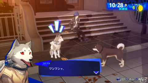 「ペルソナ3 リロード」唯一無二ともいえる犬のペルソナ使いコロマル(CV:高橋伸也)のキャラクターPVが公開!の画像