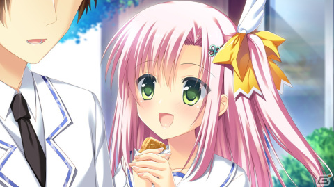 プライミニスター- ストロベリーノーツ- 特典タペストリー付